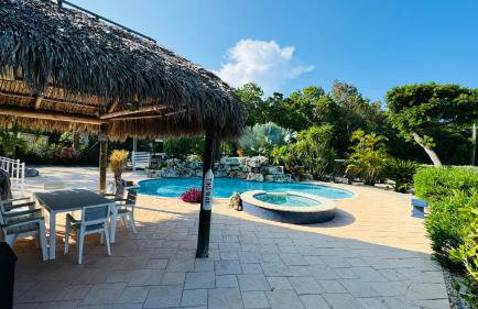 Island Breeze - Foto 17