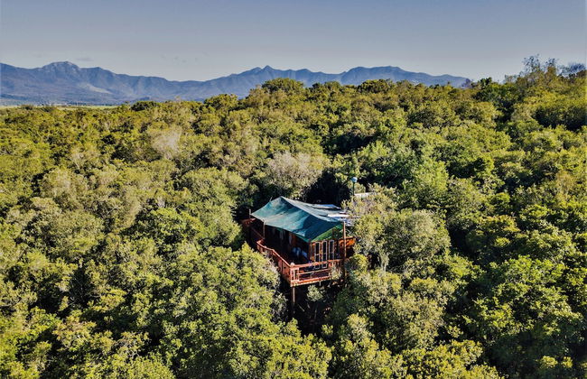 Teniqua Treetops - Foto 4