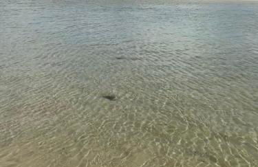 Marina do Baobá - casa a beira mar - Foto 26