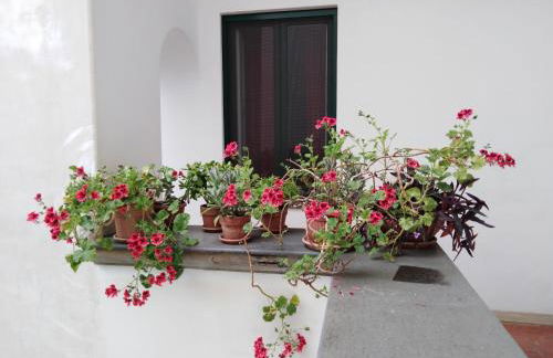 Casa De Angelis Orange & Blue - Foto 26