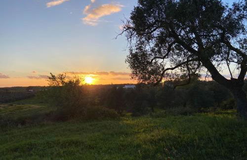 Hacienda Donaire Beas - Foto 22