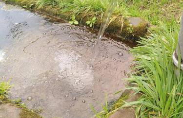 La chouette dort le gîte du retour à la source - Photo 28
