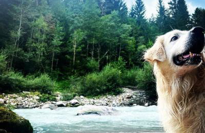 Casetta del Caregon a Vinigo - Foto 11