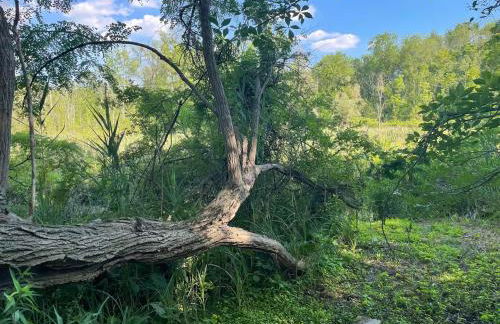 The Red Country Cottage - Foto 28