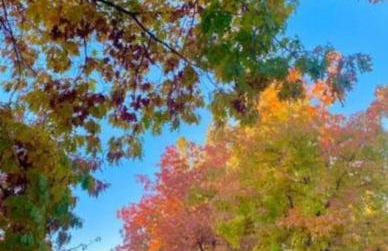 Alta Vista Haus in Moonridge - Foto 38