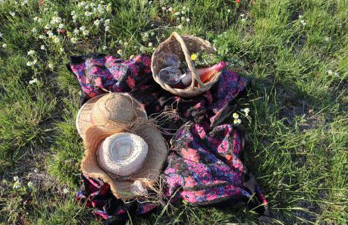 Masseria Agriturismo Moschella - Foto 7