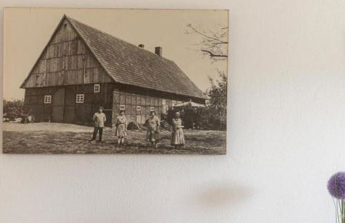 Herzlich Willkommen auf unserem Hof! - Foto 13