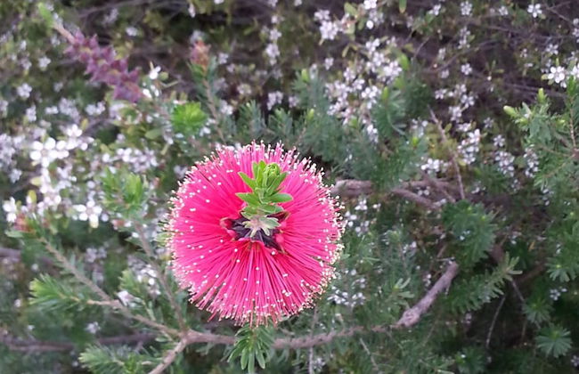 Nutkin Lodge - Photo 72