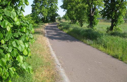 Altstadtapartment - Foto 24