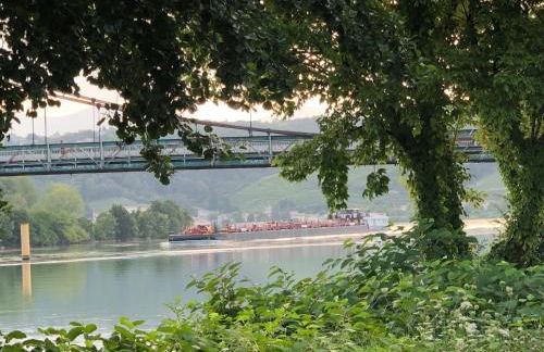 CONDRIEU appartement 1 er et parking voiture vélo - Foto 8
