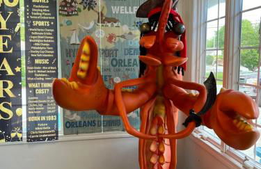 A charm Cape house centrally located close to everything that Cape code offers - Foto 33