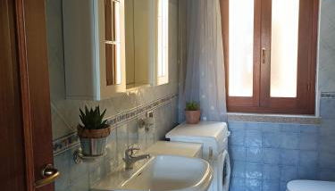 Abete Bianco - Photo 3