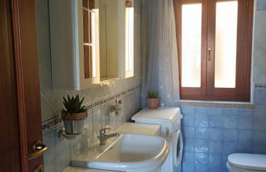 Abete Bianco - Photo 3