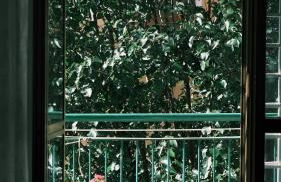 Betty House Roma - Foto 15