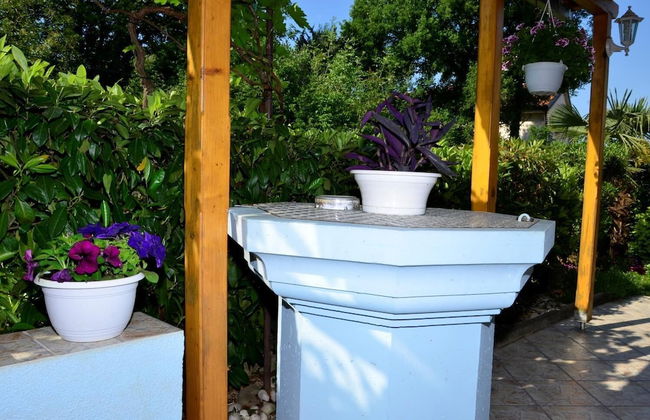 Apartment Blumen Oase - Foto 24