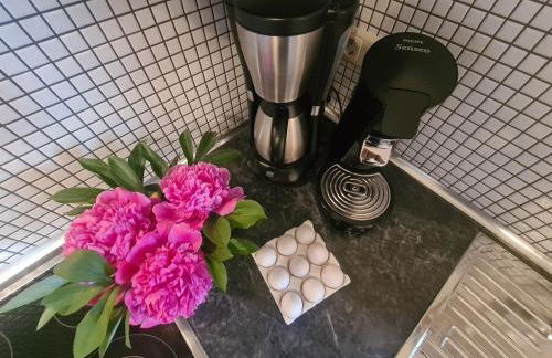 Landhaus Gersdorf nahe Ostseebad Kühlungsborn - Foto 54