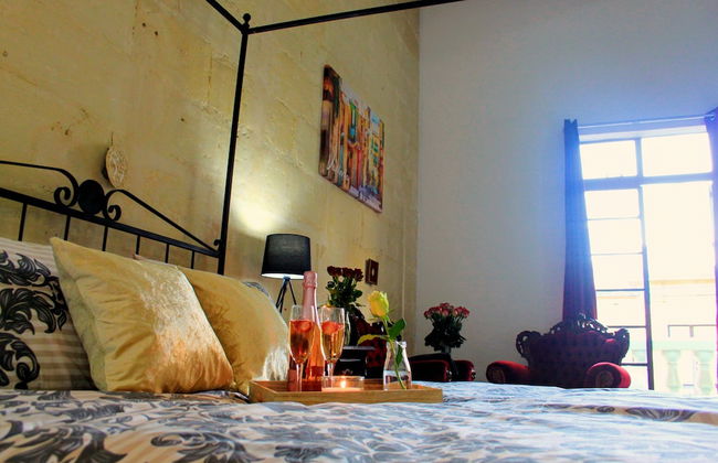 Maltese Maltese - Foto 26