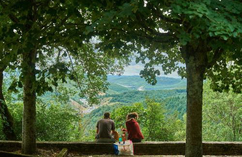 Domaine de Lanzac - Foto 39