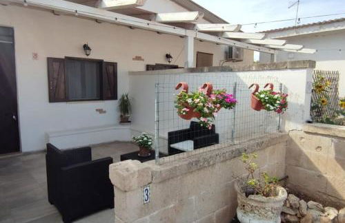 Ville Scelsa - Foto 12