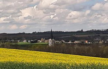 Ferienwohnung im grünen Muldental - Foto 37