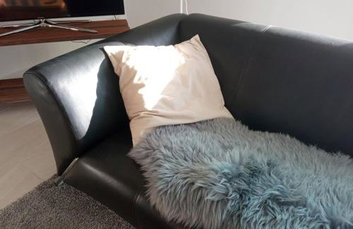 Fewo Zwergseeschwalbe - Ostsee at its best! - Foto 6