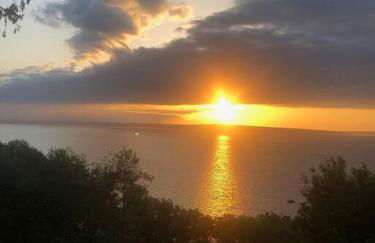 Romantic Spacious Suite with Salish Sea & Mountain Views at Seattle Luxury Estate - Foto 26