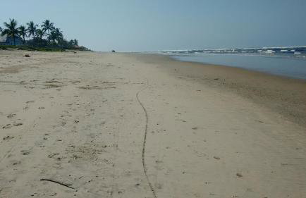 CASA - FRENTE PARA O MAR - Foto 70