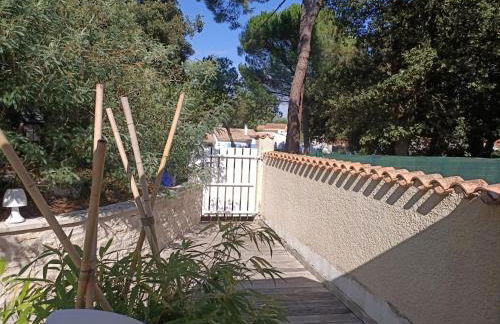 Pomme de Pin et Mimosa - Foto 13