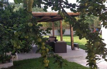 Villa Thanos - Foto 37