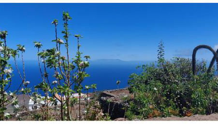 Casa Tío Pedro Martín - Foto 4