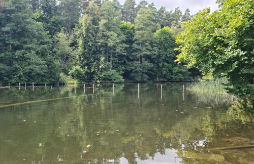 Domek w polu - Foto 55