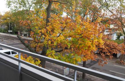 Möblierte Wohnung Nähe BASF Ludwigshafen/Mannheim mit Privatparkplatz - Foto 22