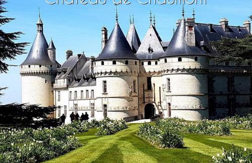 [Aucun supplément] L'Harmonie - 15 min de Beauval - Foto 38