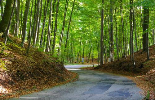 The hills at river - Foto 37