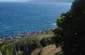 Masseria La Fica - Foto 60