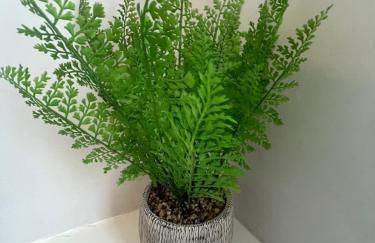 4BR Modern & Stylish, Contractors, Parking - Foto 3