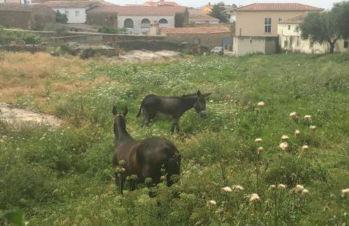 Casa rural La Tahona del abuelo TR CC 00344 - Foto 44