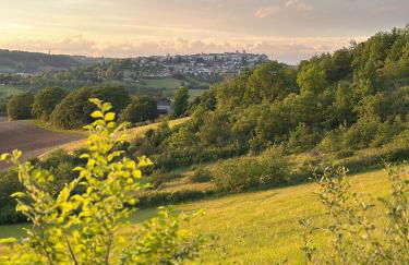 Domaine de Tayssou - Foto 44