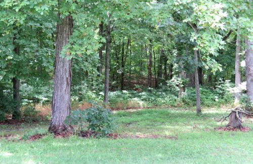 Rustic Cabin Rental near Meramec State Park, Missouri - Foto 27