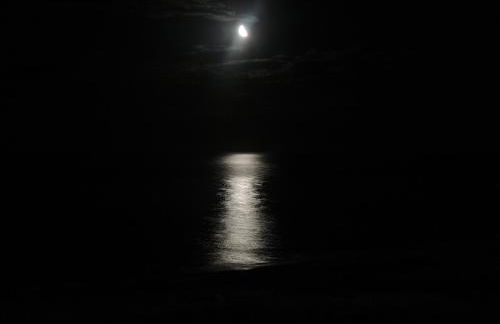 Dovas house - Foto 42