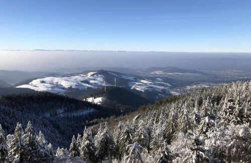 Schwarzwaldhimmel - Foto 36