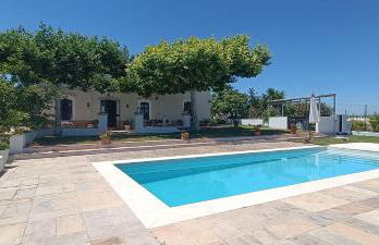 Finca Olivo Llorón - Foto 11