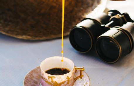 Siedlisko Słoneczny Jar - Foto 6