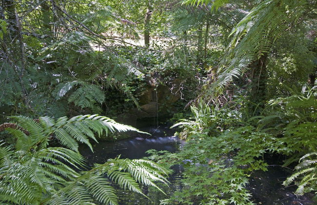 Lotus Lodges - Foto 22