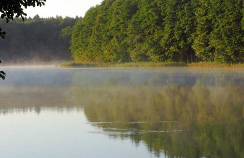 Mazurski Raj - Komfortowy dom nad jeziorem - Foto 46