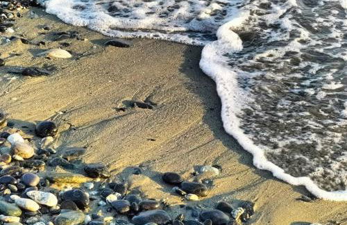 Casa con giardino: Varazze - Foto 45