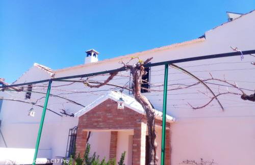 Charming House with Pool in Montilla - Foto 75