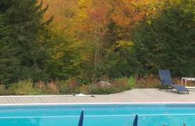 Cricket Hill Lodging - Foto 23