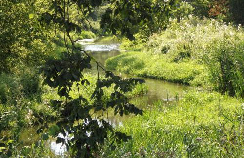 Godzisz - domek rekreacyjny - Foto 36