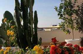 IsolaAzzurra - Foto 5